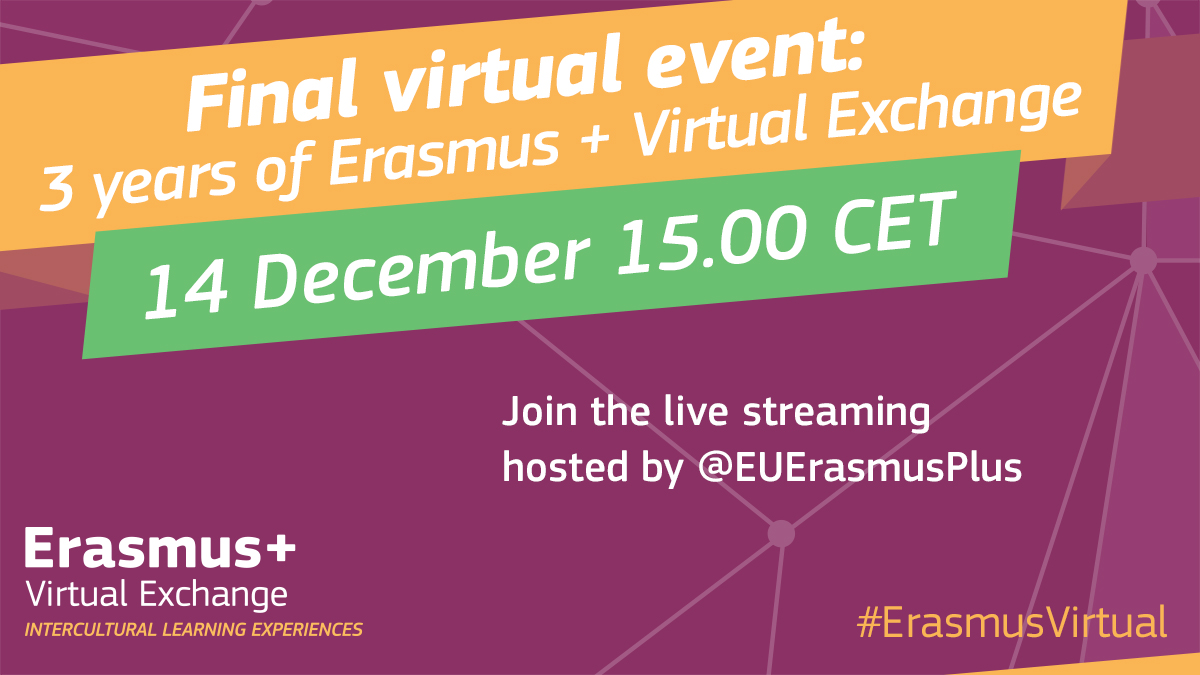 Erasmus Virtual Exchange 