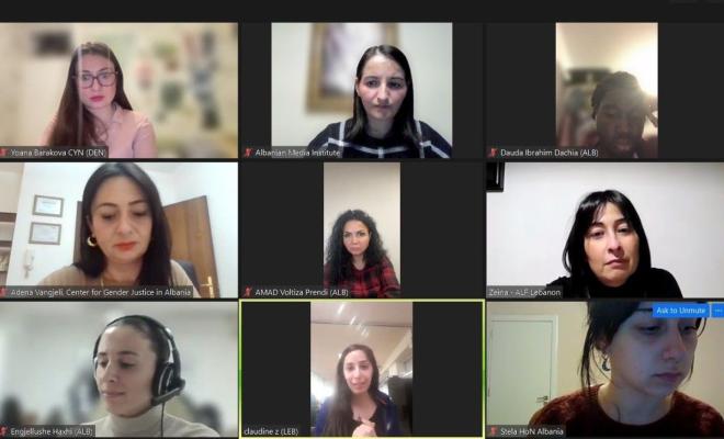 Online Networking Session between Albania, Denmark and Lebanon