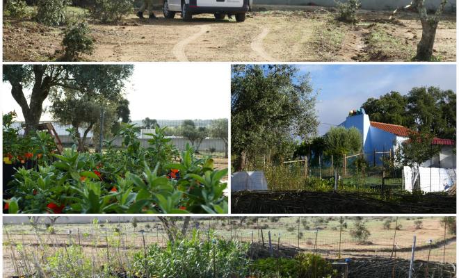 Mediterranean Ecosystems Conservation Center