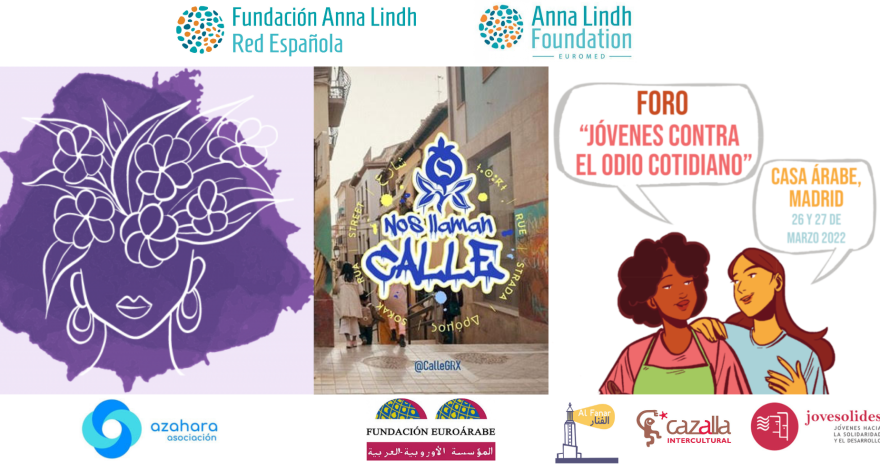 Posters of the three events organized by members of the Spanish network